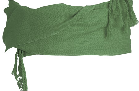 RTNREGIONALFLECOS12X240