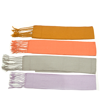 RTNREGIONALFLECOS24X300