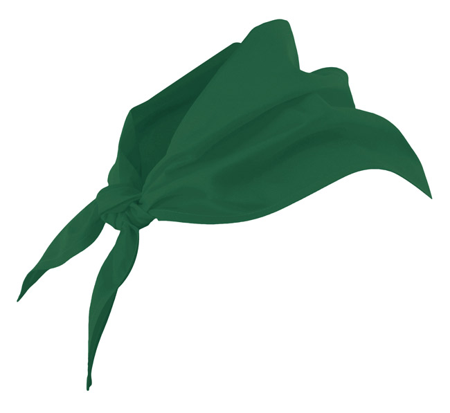Verde Bosque